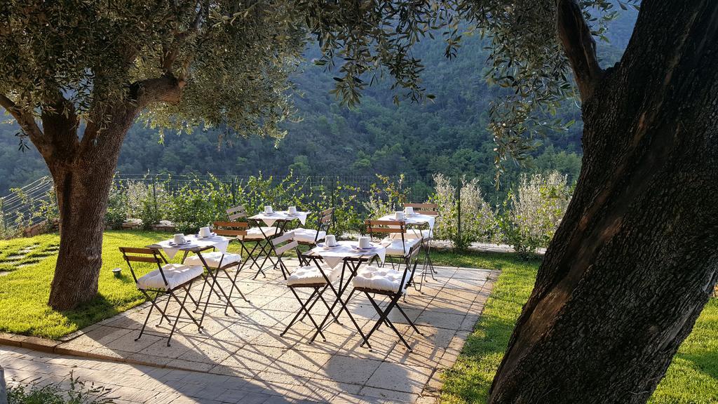Aurivu Villa Vallebona Dış mekan fotoğraf